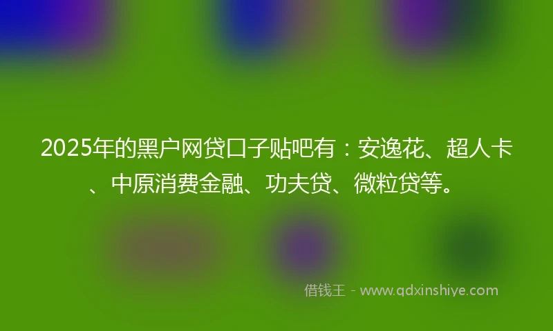 2025年的黑户网贷口子贴吧有：安逸花、超人卡、中原消费金融、功夫贷、微粒贷等。