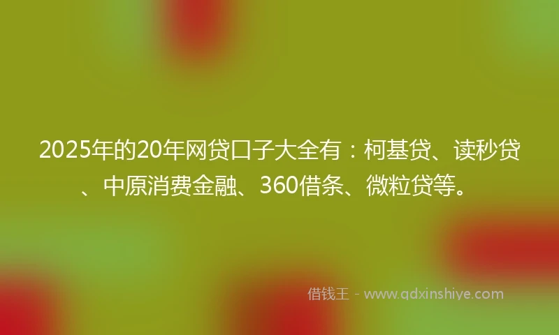 2025年的20年网贷口子大全有：柯基贷、读秒贷、中原消费金融、360借条、微粒贷等。