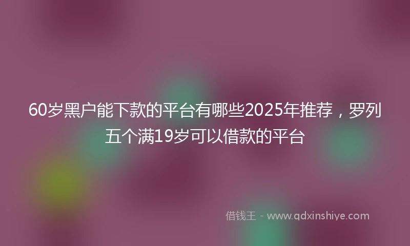 60岁黑户能下款的平台有哪些2025年推荐，罗列五个满19岁可以借款的平台