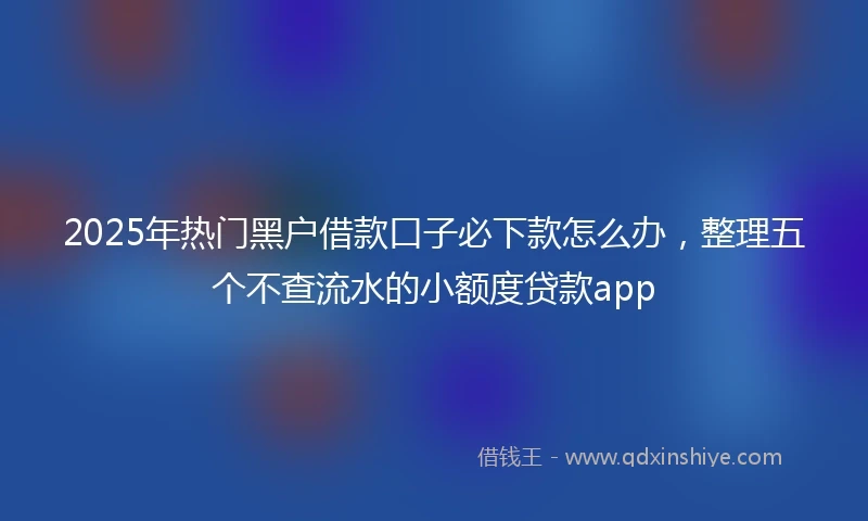 2025年热门黑户借款口子必下款怎么办，整理五个不查流水的小额度贷款app