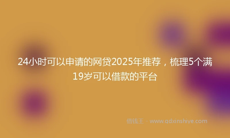 24小时可以申请的网贷2025年推荐，梳理5个满19岁可以借款的平台
