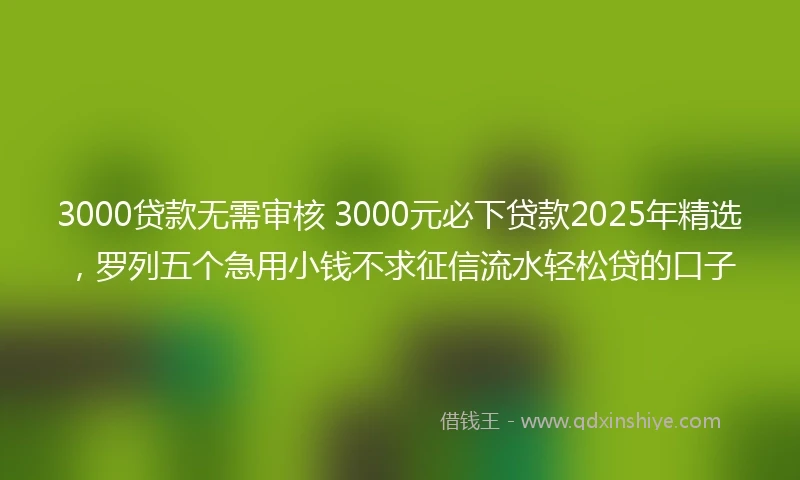 3000贷款无需审核 3000元必下贷款2025年精选，罗列五个急用小钱不求征信流水轻松贷的口子