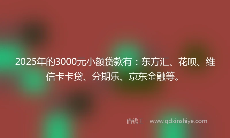 2025年的3000元小额贷款有：东方汇、花呗、维信卡卡贷、分期乐、京东金融等。