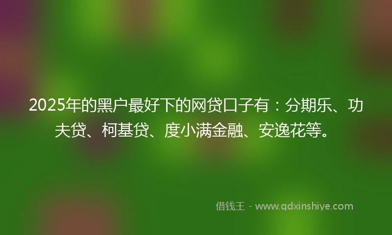 2025年的黑户最好下的网贷口子有：分期乐、功夫贷、柯基贷、度小满金融、安逸花等。