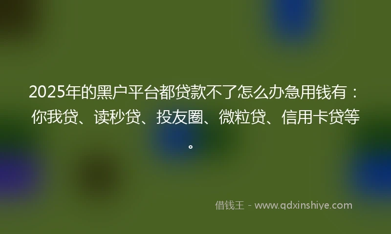 2025年的黑户平台都贷款不了怎么办急用钱有：你我贷、读秒贷、投友圈、微粒贷、信用卡贷等。
