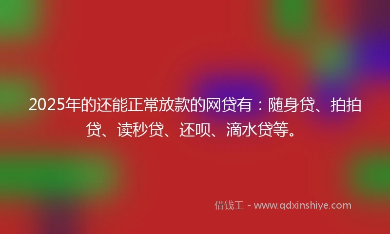 2025年的还能正常放款的网贷有：随身贷、拍拍贷、读秒贷、还呗、滴水贷等。