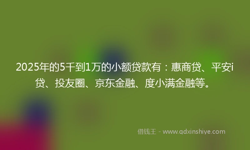2025年的5千到1万的小额贷款有：惠商贷、平安i贷、投友圈、京东金融、度小满金融等。