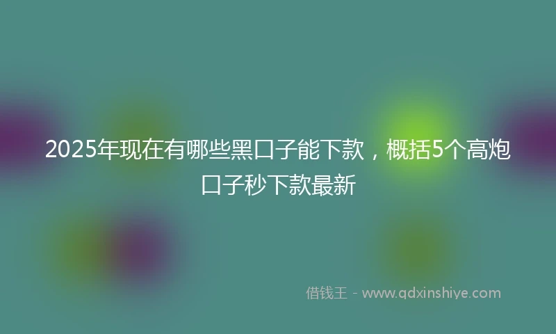 2025年现在有哪些黑口子能下款，概括5个高炮口子秒下款最新