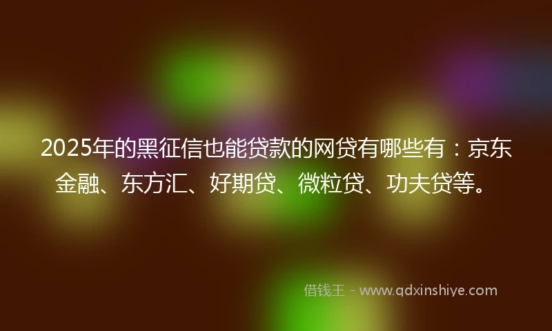 2025年的黑征信也能贷款的网贷有哪些有：京东金融、东方汇、好期贷、微粒贷、功夫贷等。
