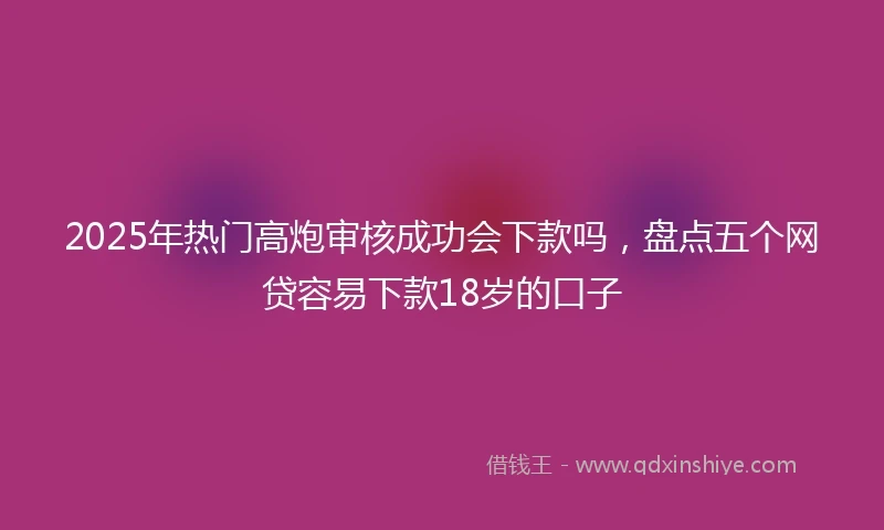 2025年热门高炮审核成功会下款吗，盘点五个网贷容易下款18岁的口子