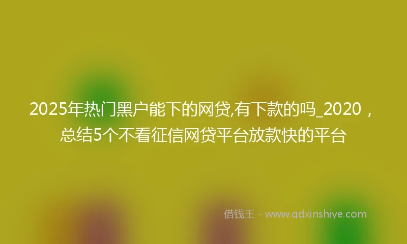 2025年热门黑户能下的网贷,有下款的吗_2020，总结5个不看征信网贷平台放款快的平台