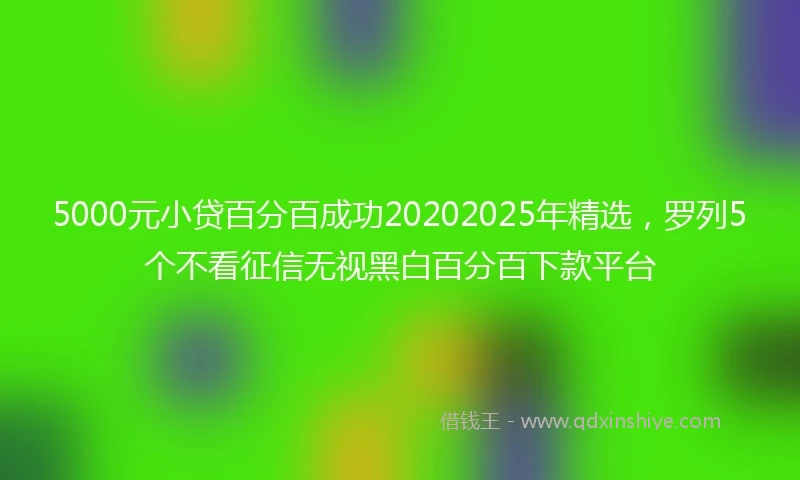 5000元小贷百分百成功20202025年精选,罗列5个不看征信无视黑白百分百下款平台