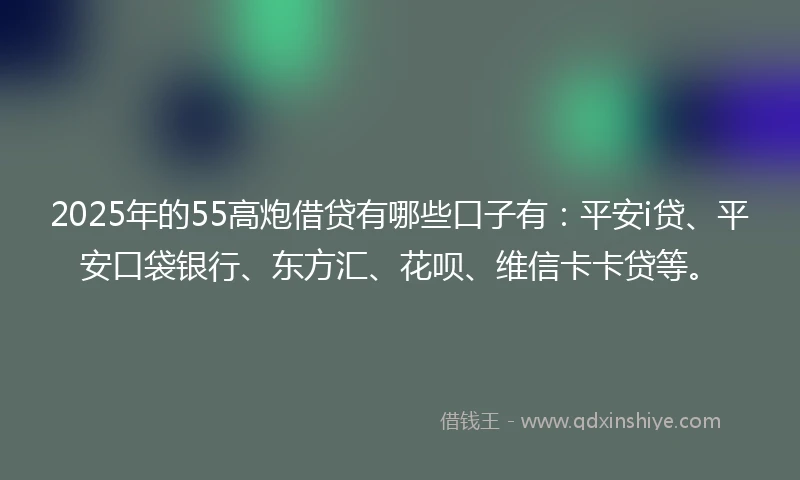 2025年的55高炮借贷有哪些口子有：平安i贷、平安口袋银行、东方汇、花呗、维信卡卡贷等。