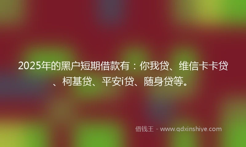 2025年的黑户短期借款有：你我贷、维信卡卡贷、柯基贷、平安i贷、随身贷等。