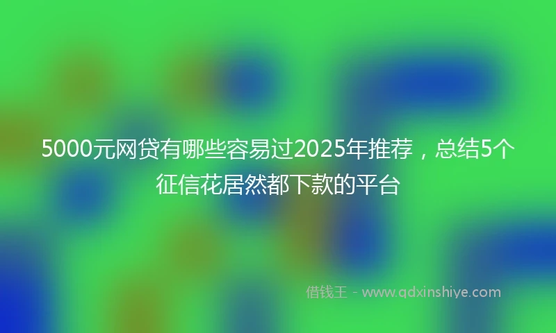 5000元网贷有哪些容易过2025年推荐，总结5个征信花居然都下款的平台