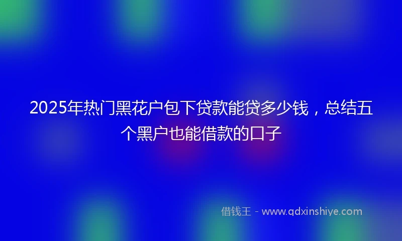 2025年热门黑花户包下贷款能贷多少钱，总结五个黑户也能借款的口子