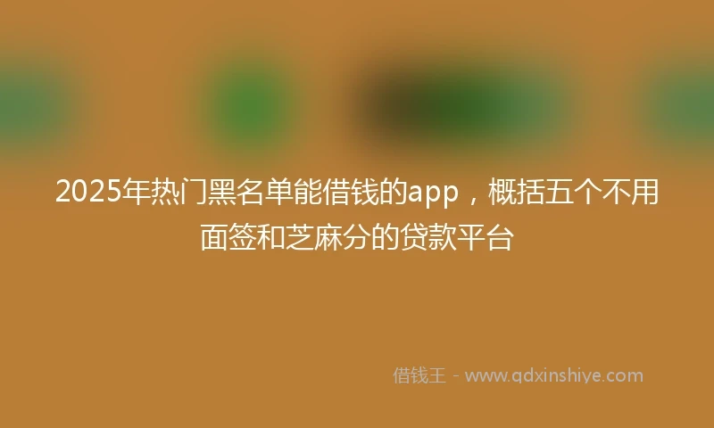 2025年热门黑名单能借钱的app，概括五个不用面签和芝麻分的贷款平台