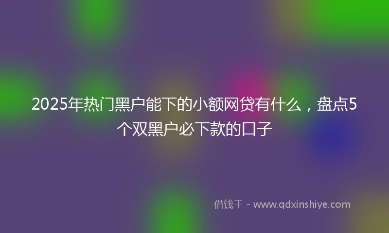 2025年热门黑户能下的小额网贷有什么，盘点5个双黑户必下款的口子