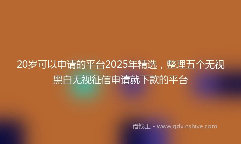 20岁可以申请的平台2025年精选，整理五个无视黑白无视征信申请就下款的平台