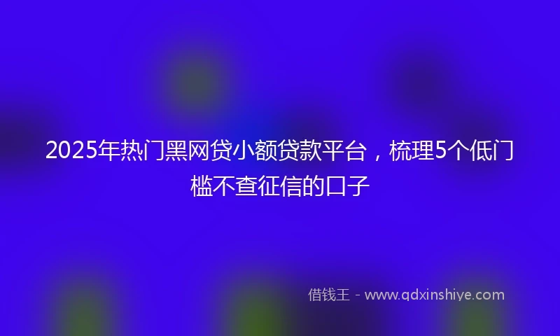 2025年热门黑网贷小额贷款平台，梳理5个低门槛不查征信的口子