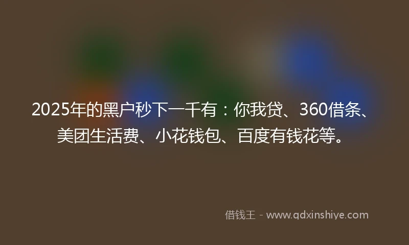 2025年的黑户秒下一千有：你我贷、360借条、美团生活费、小花钱包、百度有钱花等。
