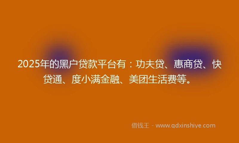 2025年的黑户贷款平台有：功夫贷、惠商贷、快贷通、度小满金融、美团生活费等。