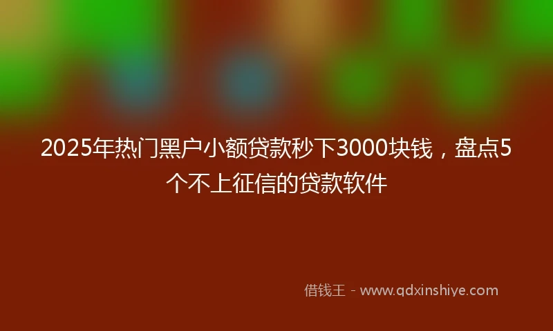 2025年热门黑户小额贷款秒下3000块钱，盘点5个不上征信的贷款软件