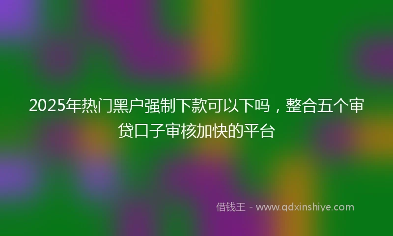 2025年热门黑户强制下款可以下吗，整合五个审贷口子审核加快的平台