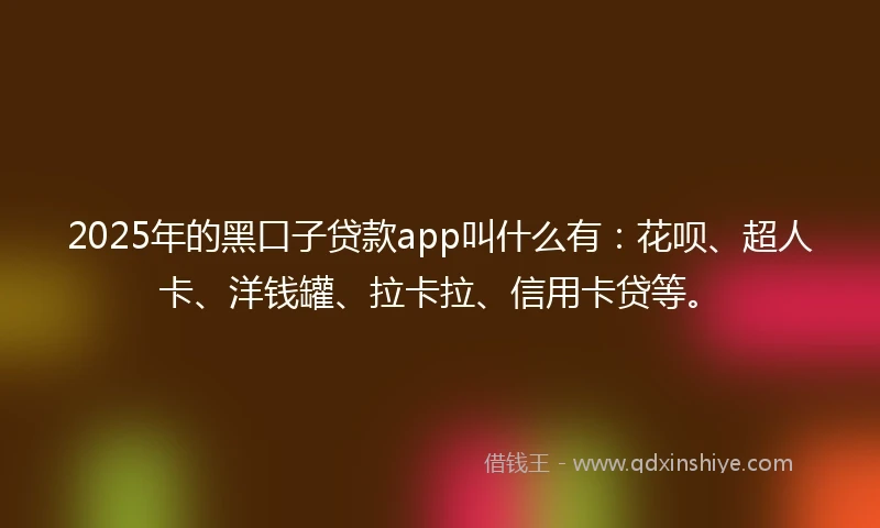 2025年的黑口子贷款app叫什么有：花呗、超人卡、洋钱罐、拉卡拉、信用卡贷等。