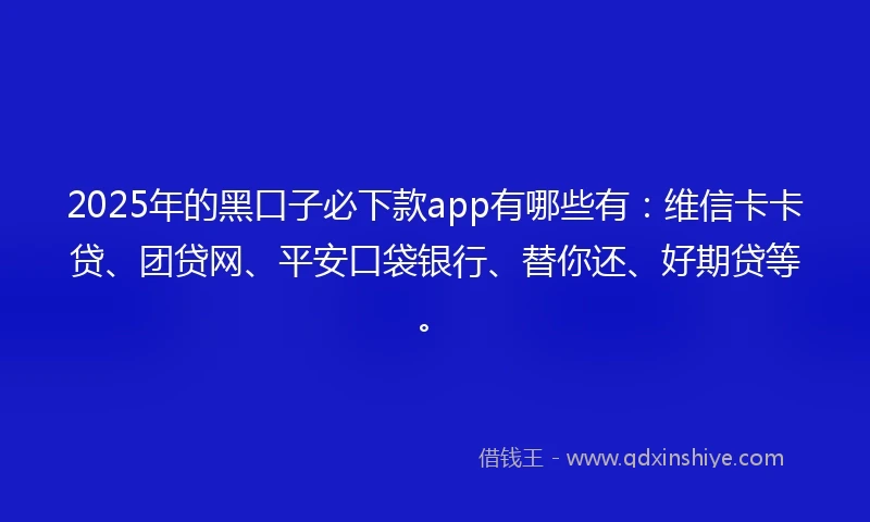 2025年的黑口子必下款app有哪些有：维信卡卡贷、团贷网、平安口袋银行、替你还、好期贷等。