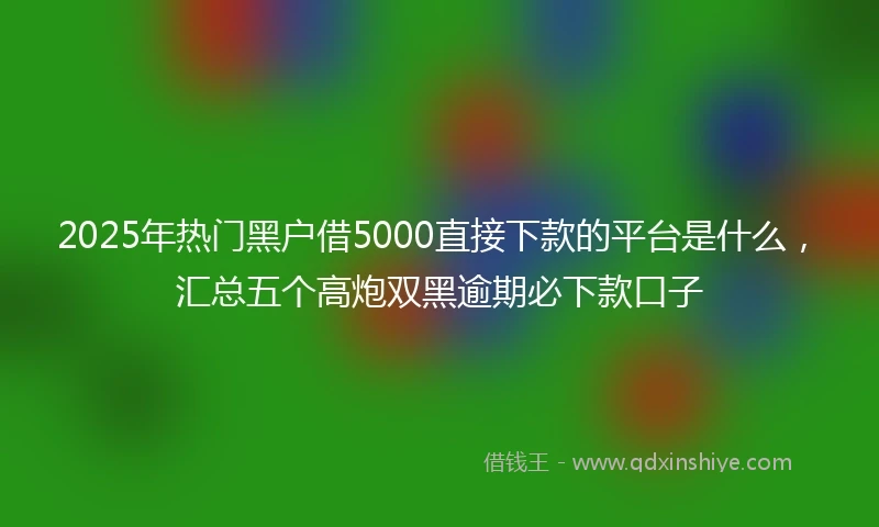 2025年热门黑户借5000直接下款的平台是什么，汇总五个高炮双黑逾期必下款口子