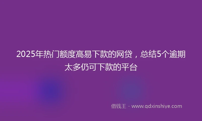 2025年热门额度高易下款的网贷，总结5个逾期太多仍可下款的平台
