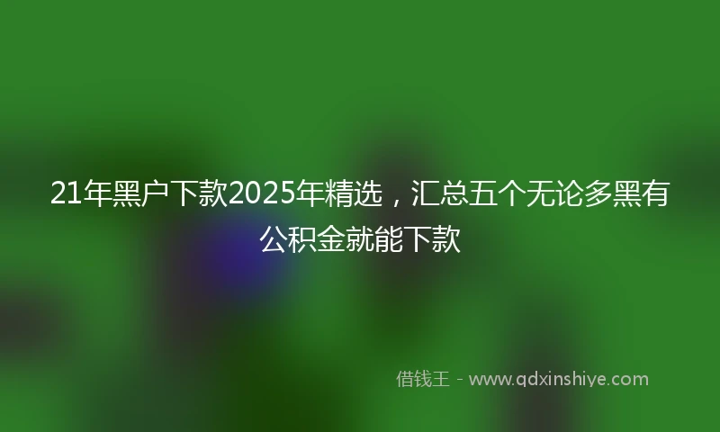 21年黑户下款2025年精选，汇总五个无论多黑有公积金就能下款