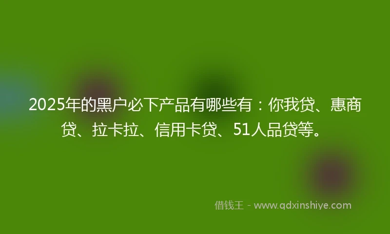 2025年的黑户必下产品有哪些有：你我贷、惠商贷、拉卡拉、信用卡贷、51人品贷等。