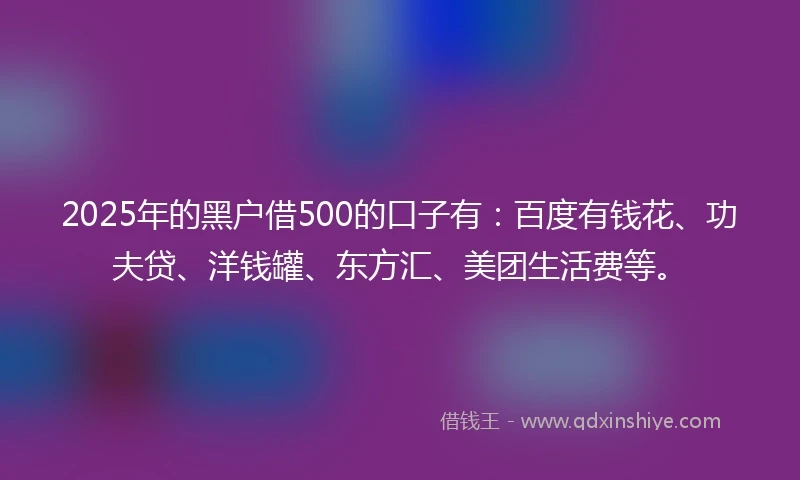 2025年的黑户借500的口子有：百度有钱花、功夫贷、洋钱罐、东方汇、美团生活费等。