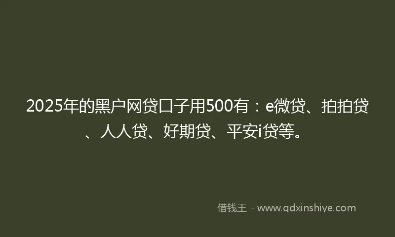 2025年的黑户网贷口子用500有：e微贷、拍拍贷、人人贷、好期贷、平安i贷等。