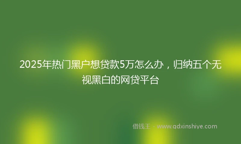 2025年热门黑户想贷款5万怎么办，归纳五个无视黑白的网贷平台
