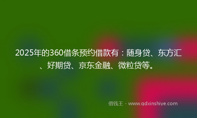 2025年的360借条预约借款有：随身贷、东方汇、好期贷、京东金融、微粒贷等。