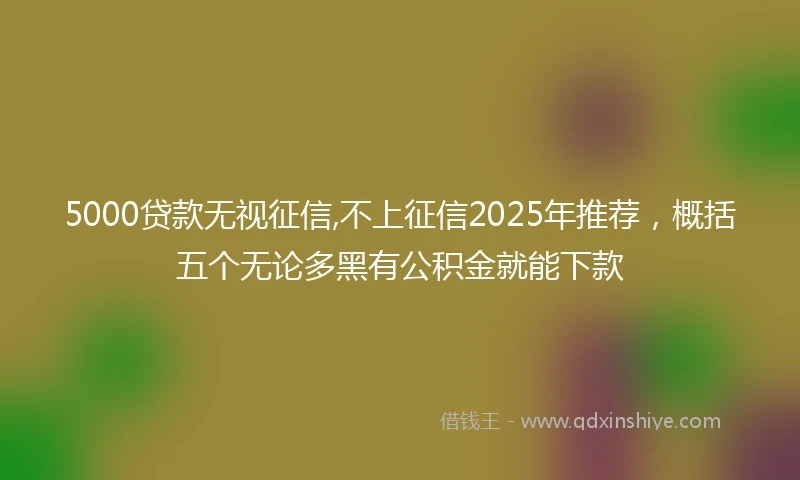 5000贷款无视征信,不上征信2025年推荐，概括五个无论多黑有公积金就能下款