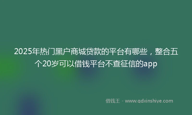 2025年热门黑户商城贷款的平台有哪些，整合五个20岁可以借钱平台不查征信的app