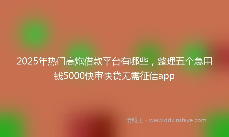 2025年热门高炮借款平台有哪些，整理五个急用钱5000快审快贷无需征信app