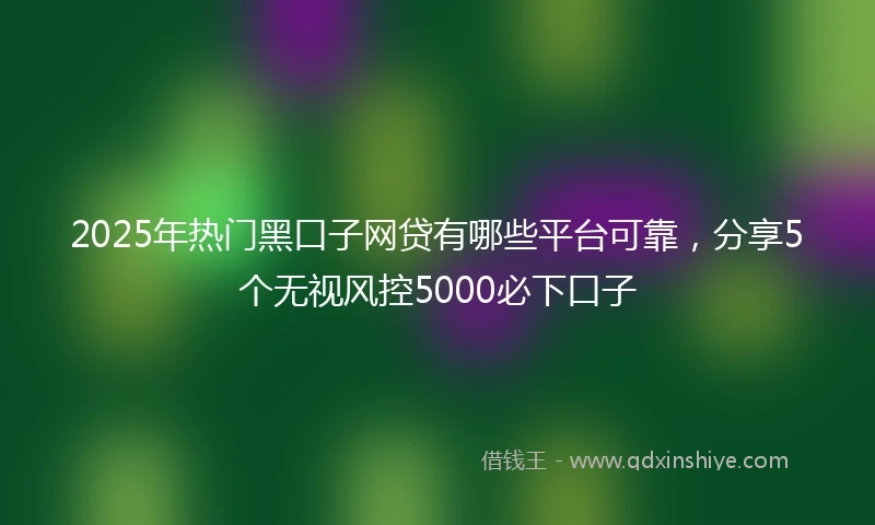 2025年热门黑口子网贷有哪些平台可靠，分享5个无视风控5000必下口子