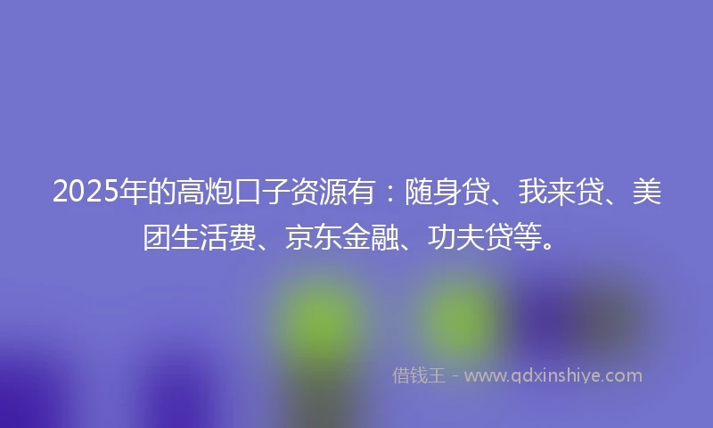 2025年的高炮口子资源有：随身贷、我来贷、美团生活费、京东金融、功夫贷等。