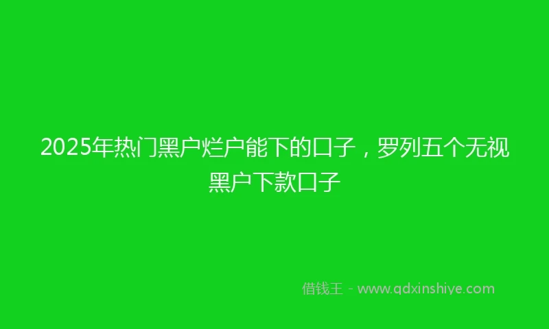2025年热门黑户烂户能下的口子，罗列五个无视黑户下款口子
