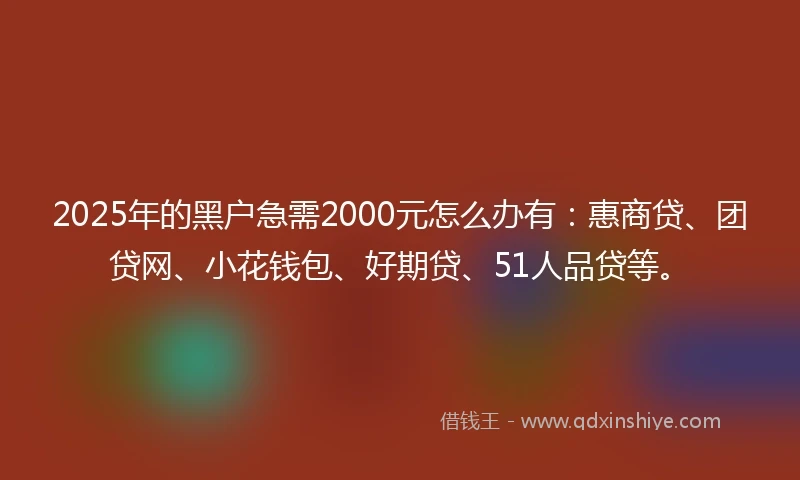 2025年的黑户急需2000元怎么办有：惠商贷、团贷网、小花钱包、好期贷、51人品贷等。