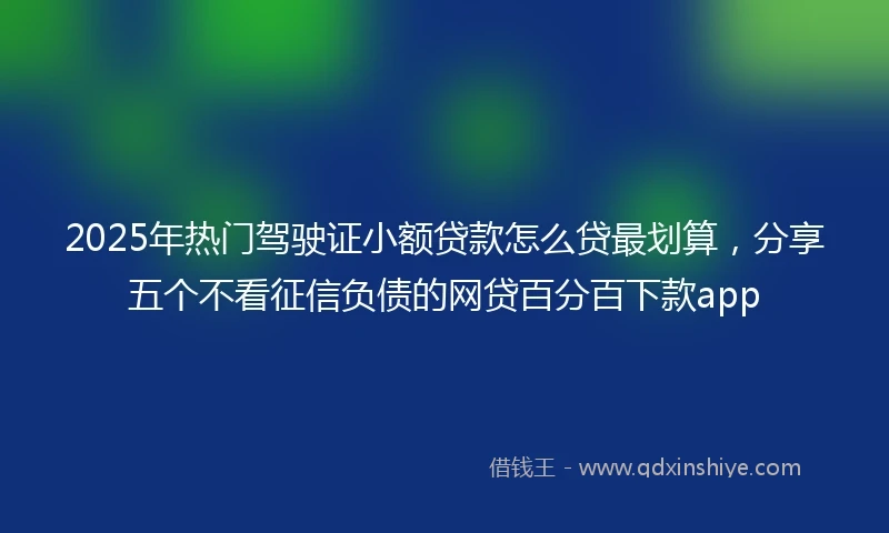 2025年热门驾驶证小额贷款怎么贷最划算，分享五个不看征信负债的网贷百分百下款app