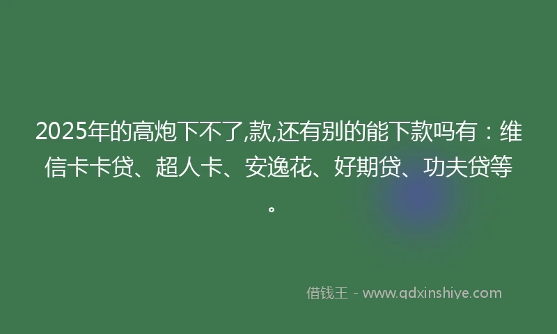 2025年的高炮下不了,款,还有别的能下款吗有：维信卡卡贷、超人卡、安逸花、好期贷、功夫贷等。