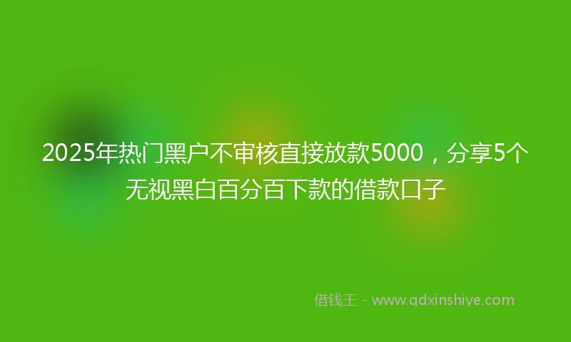 2025年热门黑户不审核直接放款5000，分享5个无视黑白百分百下款的借款口子