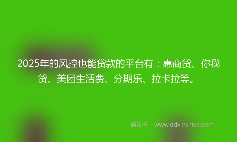 2025年的风控也能贷款的平台有：惠商贷、你我贷、美团生活费、分期乐、拉卡拉等。