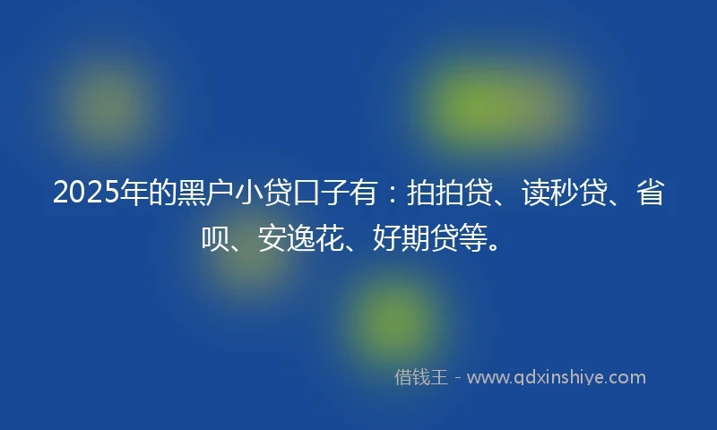 2025年的黑户小贷口子有：拍拍贷、读秒贷、省呗、安逸花、好期贷等。